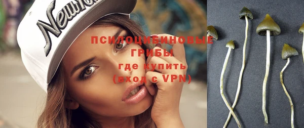 винт Богданович