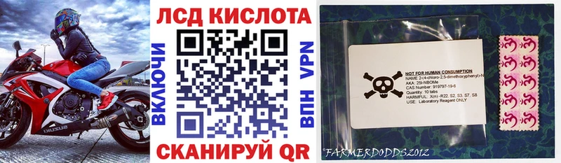 дарнет шоп  Болохово  Марки N-bome 1,8мг 