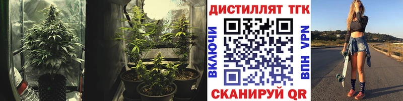 мориарти наркотические препараты  Болохово  ТГК концентрат 