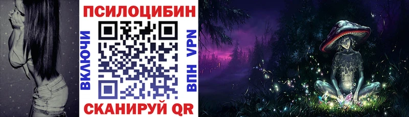 Псилоцибиновые грибы Cubensis  МЕГА ссылка  Болохово 